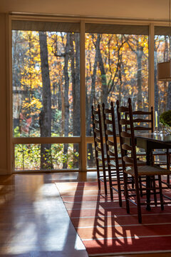Home dining room window into forest fall foliage 