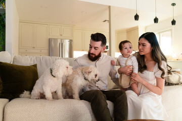 Family dogs couch
