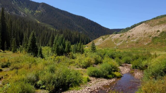 nature in crested butte 