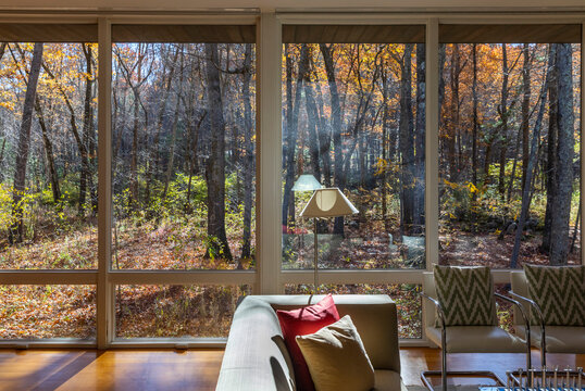 Fototapeta Home Living room  window into forest fall foliage 