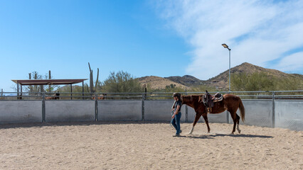 A woman training her quarter horse in an Arizona corral