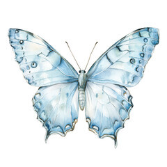 Fototapeta premium beautifully detailed illustration of a blue butterfly showcasing its delicate wings and intricate patterns the artwork emphasizes the beauty of nature and the importance of butterflies in ecosystems