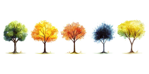 Fototapeta premium Watercolor vector illustration of trees in different seasons on a white background