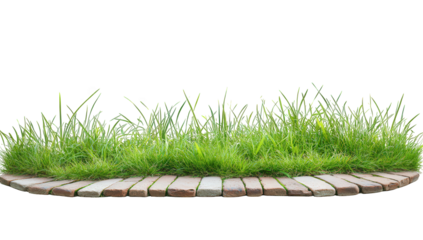 a circular arrangement of grass blades growing between stone pavers set against a white background creating a serene natural aesthetic