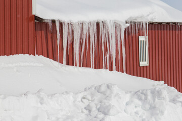 icicles hanging off a barn roof © Peter