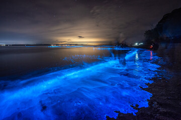 Bioluminescence sea sparkle Jervis bay, NSW, Australia.
11-07-2020
