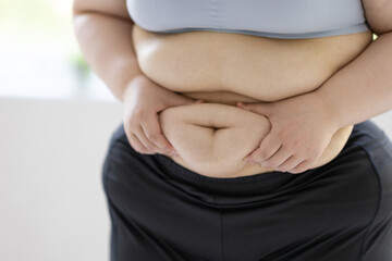 太った女性のお腹