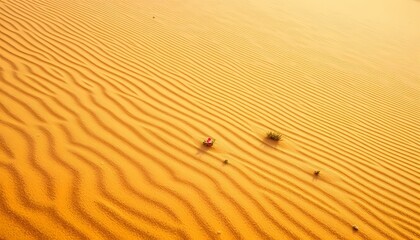 Golden Sand Dunes with Tiny Plants and a Pop of Pink Flowers