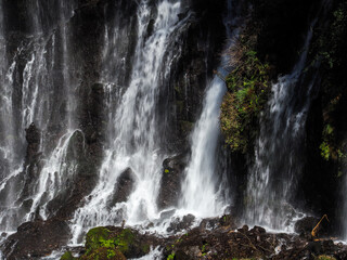 Obraz premium 白糸の滝