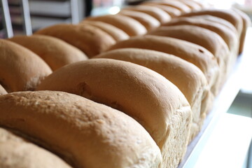 パン　食パン　老舗　マレーシア　ベーカリー