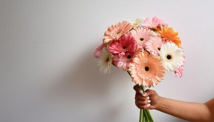 Woman Grasping Delicate Pastel Gerbera Flowers Bouquet Over Simplistic White Backdrop at Twilight, Radiating Softness and Elegance