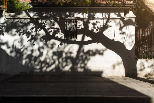 City Wall Texture in the Sun