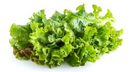 Bunch of fresh green salad isolated on white