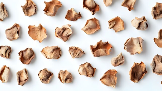 Pedazos de Hongos Secos Textura de Alimentos Aislado Sobre Fondo Blanco Comida Americana