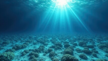 Fototapeta premium Sunlight shining through clear ocean water over a bleached coral reef 