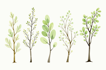 Obraz premium Set of Botanical watercolor green tree illustration isolated on white background for landscape and architecture drawing, elements for environment and garden, botanical for section in spring