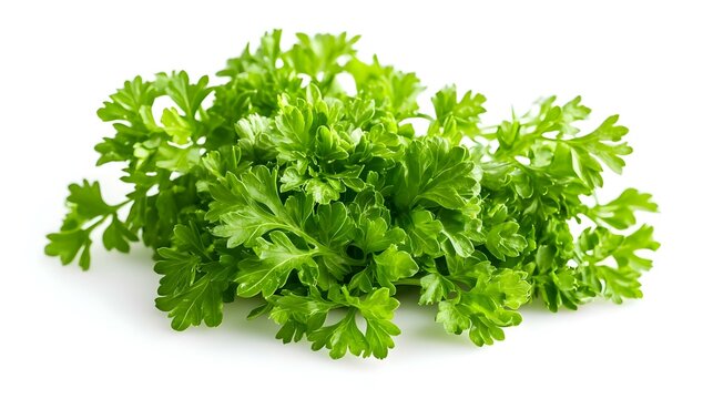 Raw chanos isolated on white background