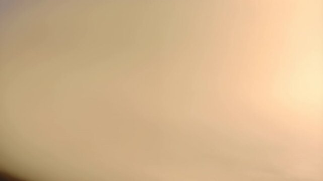 Neutral beige background with subtle smooth texture and soft
