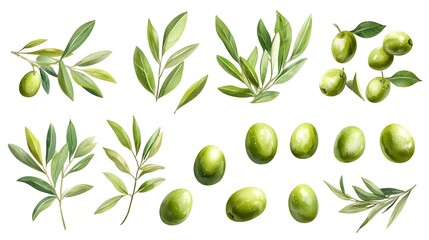 Green olives set isolated on white background