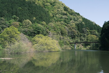 Obraz premium 室生湖の水没林その4