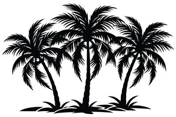 Palm tree silhouette detail illustration black and white Vector