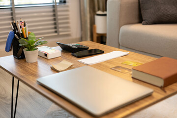 A woman is sitting on a couch and smiling while holding a credit card. She is looking at her laptop, possibly checking her bank account or making a purchase. Concept of relaxation and leisure
