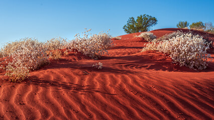 Pilbara red sand dunes, western australia.