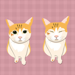 Charming Ginger Cats Sitting on a Pink Plaid Background in Vector Style