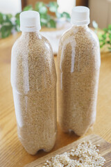 玄米をペットボトルに保管する　イメージ