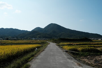 Fototapeta premium 二上山と田園