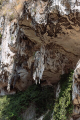 Unique rock formations hang from the ceiling of a natural cave while vibrant greenery grows beneath. Bright sunlight creates beautiful shadows and highlights on the rugged surface
