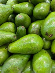 fresh green avocado