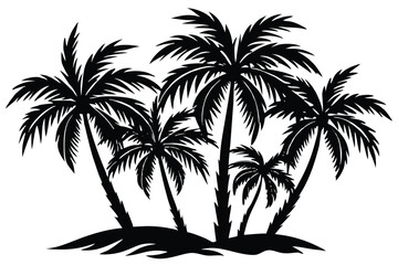 palm trees with leaves and black silhouettes isolated on a white background Vector