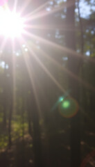 Naklejka premium PNG transparent sunlight special lens flare light effect. with white shades