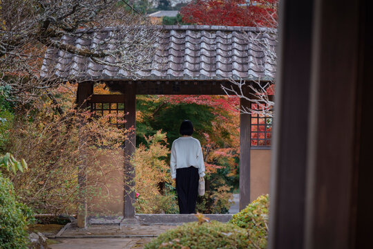 「敬服」の写真素材 | 532,822件の無料イラスト画像 | Adobe Stock