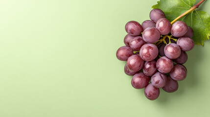 Fresh purple grapes on light green background, showcasing their vibrant color and texture