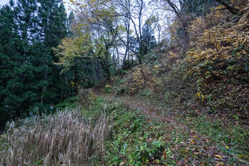 Obraz premium Historic old road “Salt Road” which is also a long distance hiking course and its surroundings
