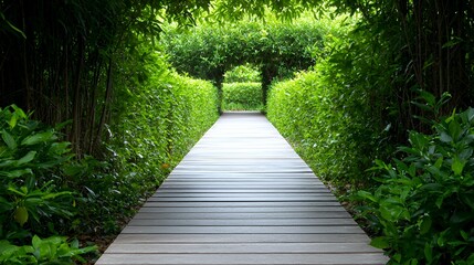 Fototapeta premium Wooden Path Leads Through Green Hedges in Tranquil Garden Setting