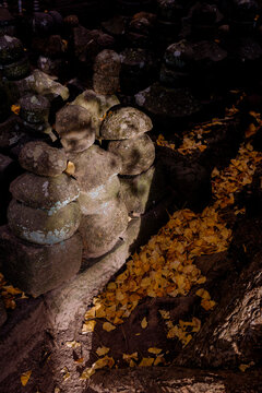 Ancient Gorintō and Golden Ginkgo Leaves.