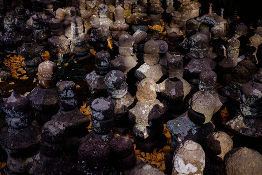 Ancient Gorintō and Golden Ginkgo Leaves.