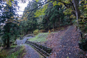 Historic old road “Salt Road” which is also a long distance hiking course and its surroundings