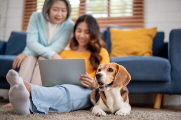 Asian happy family playing with her beagle dog in living room at home. 