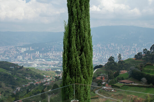 View of Medell&iacute;n from terrace