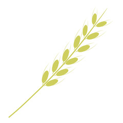 A sprig of wheat illustration isolated on transparant  background. Element for logo design, card, and wedding invitation 