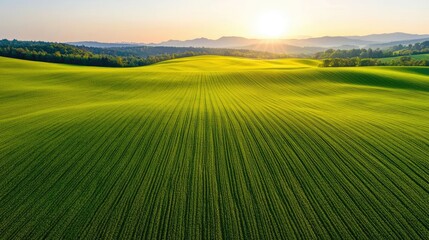 Fototapeta premium Aerial landscape abstract background concept. A stunning view of lush green fields under a glowing sunrise in a tranquil landscape.