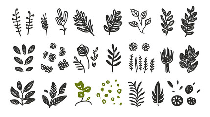 Stylized vector set of wheat ears and floral plant ornaments