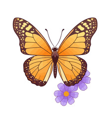 Obraz premium Whispers of Spring -Flutter By Butterfly