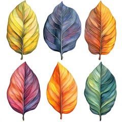 Obraz premium Watercolor Autumn Leaves Collection Vibrant Colors and Detailed Textures