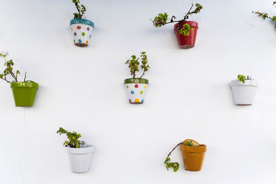 Colorful flower pots with geraniums on whitewashed wall