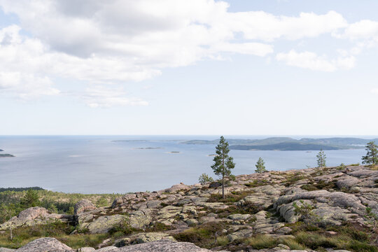 Landscape